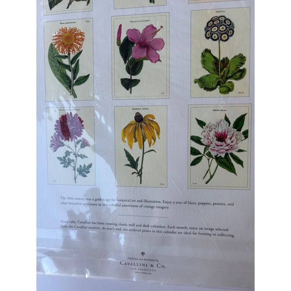 Cavallini & Co Wall Calendar 2024 Botanica Vintage Floral Art Prints New Sealed